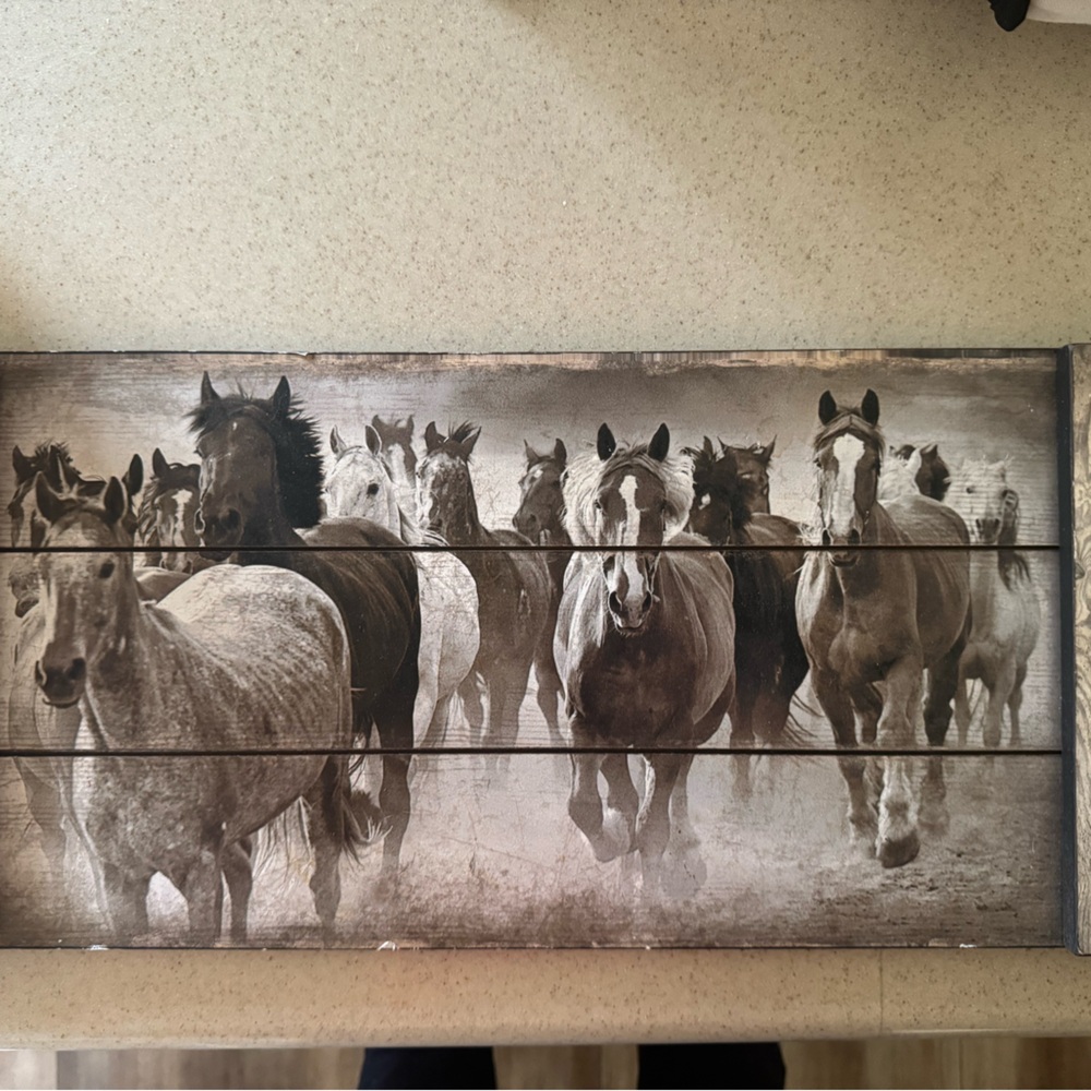 Horse wall hanging
